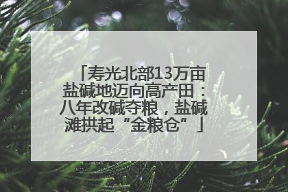 寿光北部13万亩盐碱地迈向高产田：八年改碱夺粮，盐碱滩拱起“金粮仓”