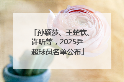 孙颖莎、王楚钦、许昕等，2025乒超球员名单公布