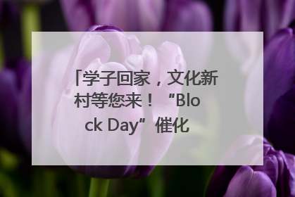 学子回家，文化新村等您来！“Block Day”催化学院式街区新生态