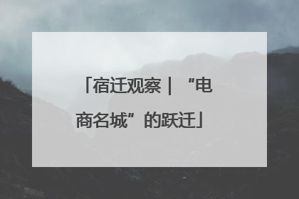 宿迁观察｜“电商名城”的跃迁