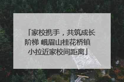 家校携手，共筑成长阶梯 峨眉山桂花桥镇小拉近家校间距离