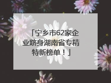 宁乡市62家企业跻身湖南省专精特新榜单！