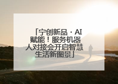 宁创新品・AI 赋能！服务机器人对接会开启智慧生活新图景