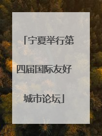 宁夏举行第四届国际友好城市论坛