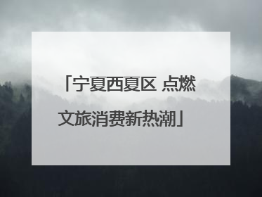 宁夏西夏区 点燃文旅消费新热潮