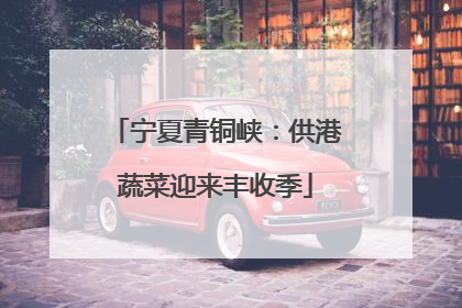 宁夏青铜峡：供港蔬菜迎来丰收季
