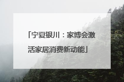 宁夏银川：家博会激活家居消费新动能