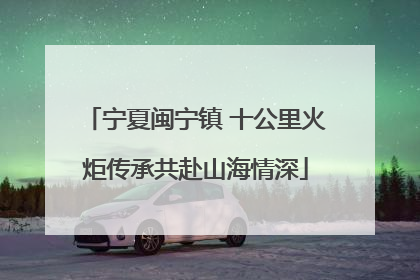 宁夏闽宁镇 十公里火炬传承共赴山海情深