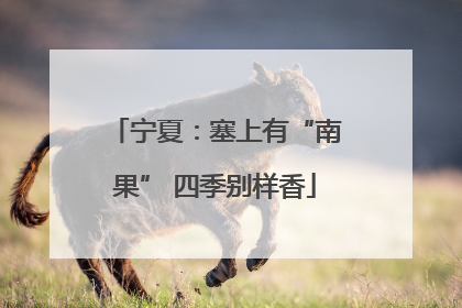 宁夏：塞上有“南果” 四季别样香