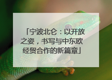 宁波北仑：以开放之姿，书写与中东欧经贸合作的新篇章
