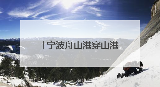 宁波舟山港穿山港区让AI算力既懂业务又能决策 20年的数据“喂”出更聪明的港口