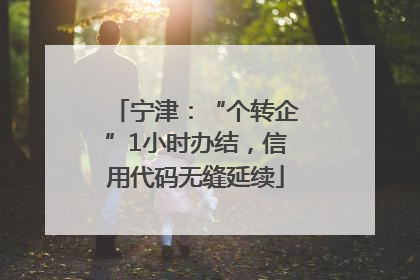 宁津：“个转企”1小时办结，信用代码无缝延续