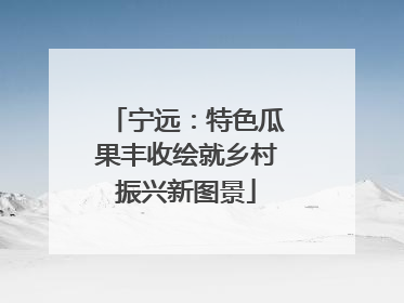 宁远：特色瓜果丰收绘就乡村振兴新图景