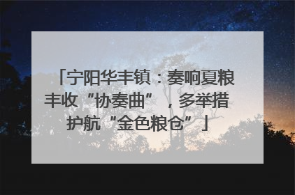 宁阳华丰镇：奏响夏粮丰收“协奏曲”，多举措护航“金色粮仓”