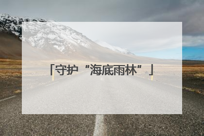 守护“海底雨林”