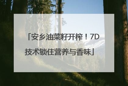 安乡油菜籽开榨！7D技术锁住营养与香味
