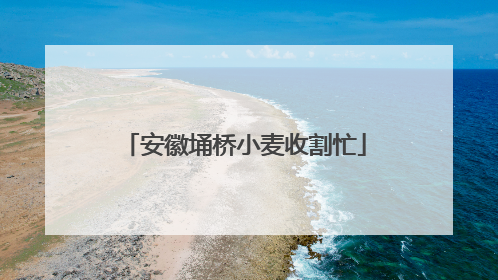 安徽埇桥小麦收割忙