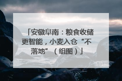 安徽阜南：粮食收储更智能，小麦入仓“不落地”（组图）