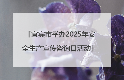宜宾市举办2025年安全生产宣传咨询日活动