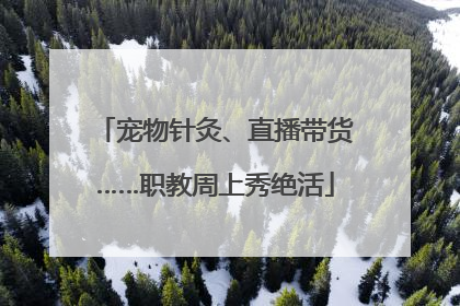 宠物针灸、直播带货……职教周上秀绝活