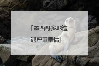 墨西哥多地遭遇严重旱情