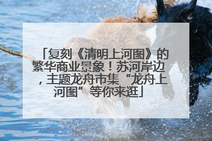 复刻《清明上河图》的繁华商业景象！苏河岸边，主题龙舟市集“龙舟上河图”等你来逛