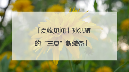 夏收见闻丨孙洪旗的“三夏”新装备