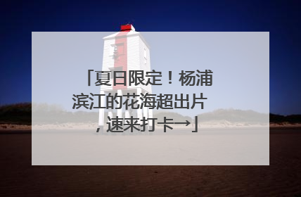 夏日限定！杨浦滨江的花海超出片，速来打卡→