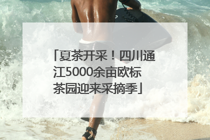 夏茶开采！四川通江5000余亩欧标茶园迎来采摘季