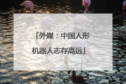 外媒：中国人形机器人志存高远