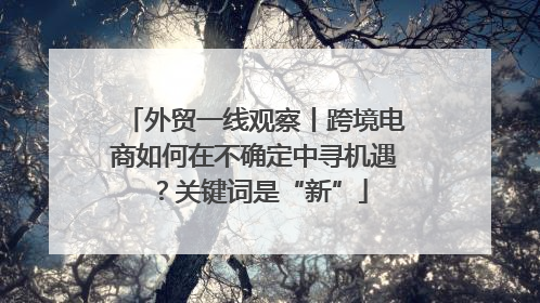 外贸一线观察丨跨境电商如何在不确定中寻机遇？关键词是“新”