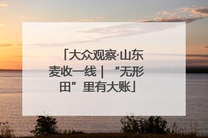 大众观察·山东麦收一线｜“无形田”里有大账