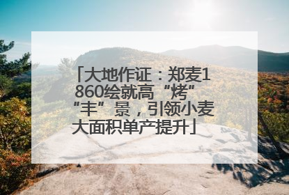 大地作证：郑麦1860绘就高“烤”“丰”景，引领小麦大面积单产提升