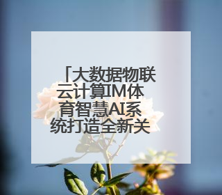 大数据物联云计算IM体育智慧AI系统打造全新关键驱动力