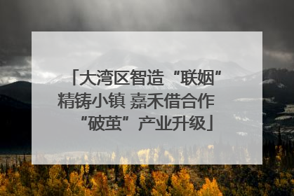大湾区智造“联姻”精铸小镇 嘉禾借合作“破茧”产业升级