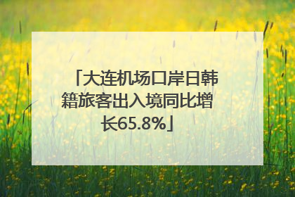 大连机场口岸日韩籍旅客出入境同比增长65.8%