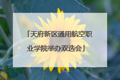 天府新区通用航空职业学院举办双选会