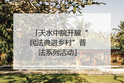 天水中院开展“民法典进乡村”普法系列活动