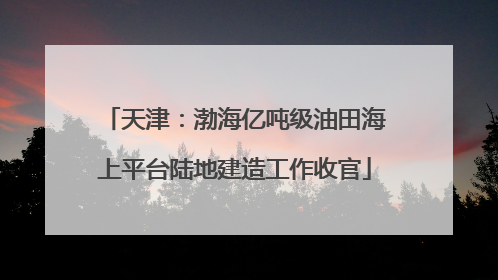 天津：渤海亿吨级油田海上平台陆地建造工作收官