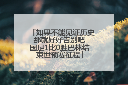 如果不能见证历史 那就好好告别吧 国足1比0胜巴林结束世预赛征程