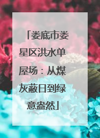 娄底市娄星区洪水单屋场：从煤灰蔽日到绿意盎然