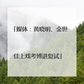 媒体：黄晓明、金世佳上戏考博进复试
