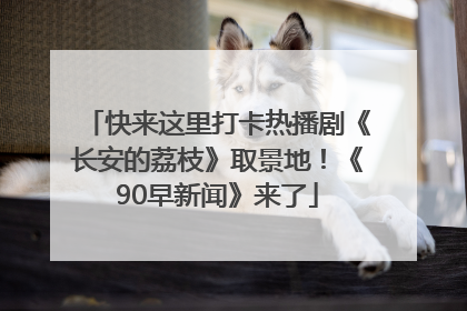 快来这里打卡热播剧《长安的荔枝》取景地！《90早新闻》来了