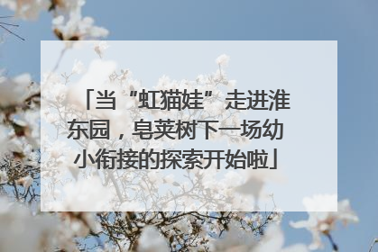 当“虹猫娃”走进淮东园，皂荚树下一场幼小衔接的探索开始啦