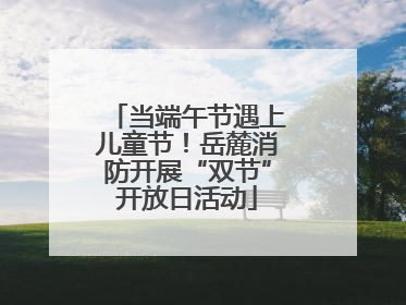 当端午节遇上儿童节！岳麓消防开展“双节”开放日活动