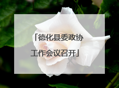 德化县委政协工作会议召开