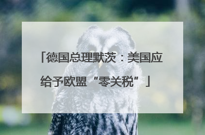 德国总理默茨：美国应给予欧盟“零关税”