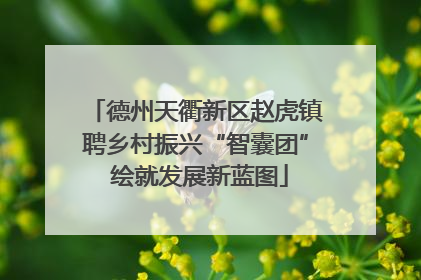 德州天衢新区赵虎镇聘乡村振兴“智囊团” 绘就发展新蓝图