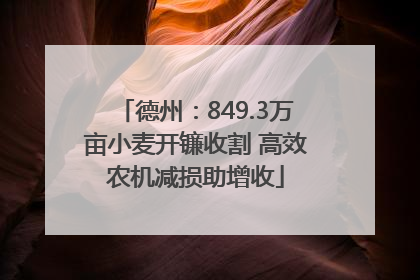 德州：849.3万亩小麦开镰收割 高效农机减损助增收