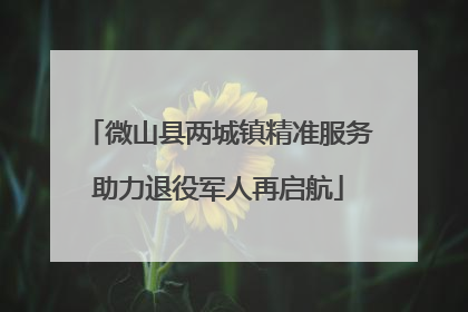 微山县两城镇精准服务助力退役军人再启航